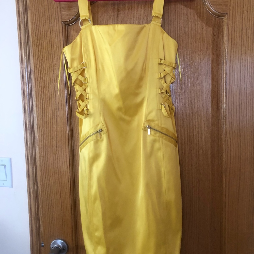 NWT Cache   dress size 6